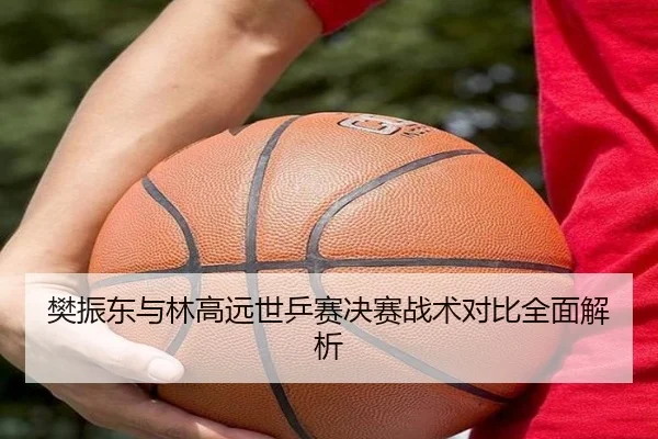樊振东与林高远世乒赛决赛战术对比全面解析